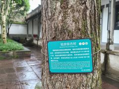 -蒋氏故居