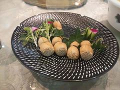 -洪湖家庭农场·团建·露营·会议