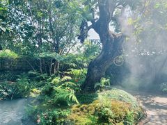 -Chom Cafe and Restaurant