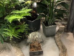 -茶理宜世(东方宝泰店)