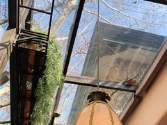 -夏朵餐厅(丁香店)