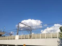 -胖哥俩肉蟹煲(虹口龙之梦店)