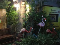-清迈夜间动物园