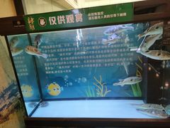 -肆月河豚·淮扬菜·湘菜(华天店)
