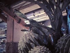 -三秋舍·梦幻岛(小西路店)