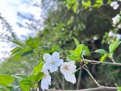 -东钱湖旅游度假区