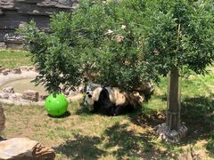 -石家庄市动物园