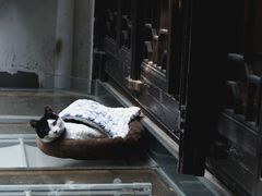 -猫的天空之城概念书店(杭州南宋御街店)