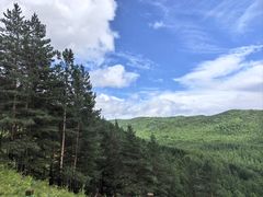 -莫尔道嘎国家森林公园