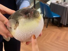 -肆月河豚·新淮扬(金融街店)