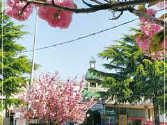 -旅顺留声机博物馆