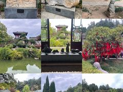 -徐州龟山景区