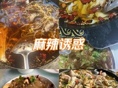 -金三可市井水煮鱼(金碧园店)