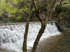 -石台牯牛降景区