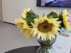 -JNK皮肤管理中心