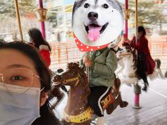 -青岛方特梦幻王国