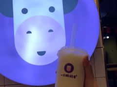 -一只酸奶牛(八一路店)