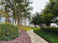 -铁山坪森林公园