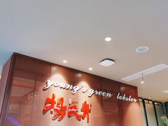 -杨氏青龙虾·羊蝎子(金盛路总店)