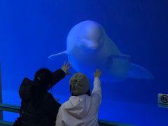-大连圣亚海洋世界