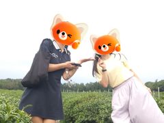 -中国茶叶博物馆(双峰馆区)