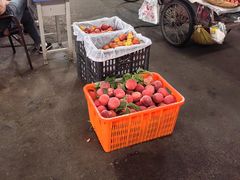 -城南综合水果批发市场(花园路店)