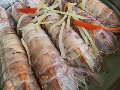 濑尿虾-南沙十九涌渔人码头-南门