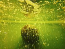 -虹桥迎宾馆·宴会厅