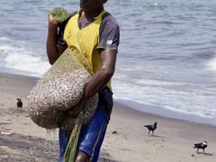 -尼甘布海鲜市场