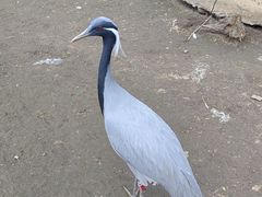 -哈尔滨北方森林动物园