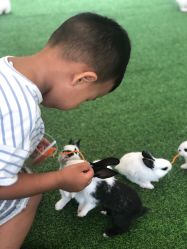 -萌宠亲子动物乐园(槐房万达店)