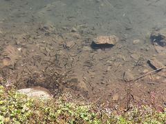 -丹东天桥沟景区