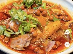 -陈麻婆豆腐总店