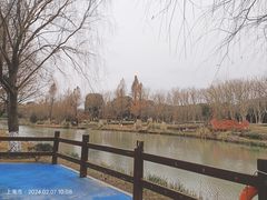 -九科绿洲