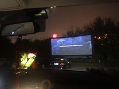 -枫花园汽车电影院(朝阳公园店)