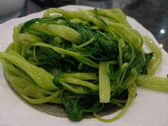 椒丝腐乳空心菜。-红星光发煲仔饭(文海店)