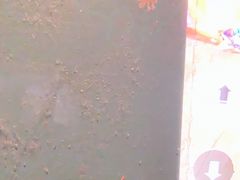 -高老庄新家宴(北斗星广场店)