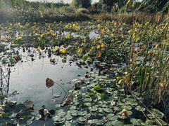 -永定河休闲森林公园