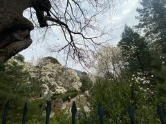 -国家植物园