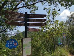 -马峦山郊野公园