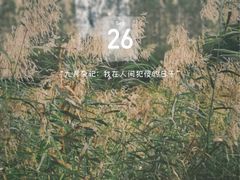 -前关湿地公园