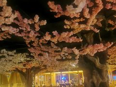 -蓝鲸湾汤泉(包河店)