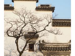 -广富林郊野公园