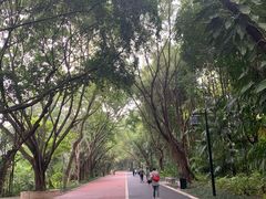 -南宁南湖公园