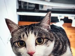 -么么咖啡(燕郊店)