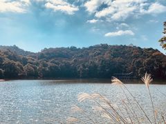 -广州市石门国家森林公园