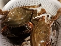 -蟹谢蒸鲜自助餐厅