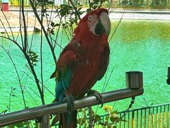 -水上乐园·欢乐世界