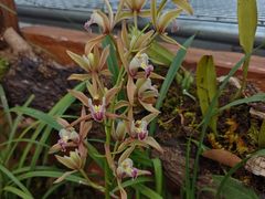 -国家植物园南园