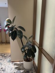 -北京漾格医疗美容医院